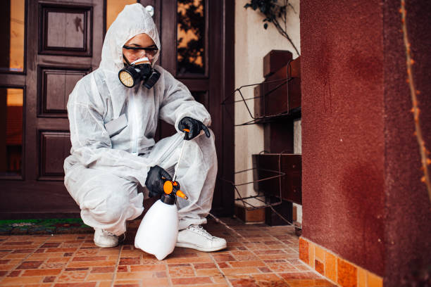 Reliable Cockroach Control contractor in Ramapo College of New Jersey, NJ by Nex Pest Control