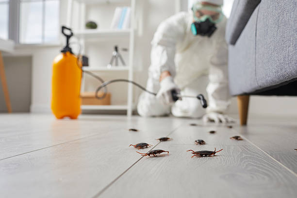 Trusted Cockroach Control service in Ramapo College of New Jersey, NJ - Nex Pest Control