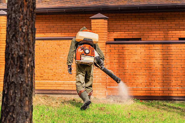 Trusted Ant Control service in Ramapo College of New Jersey, NJ - Nex Pest Control